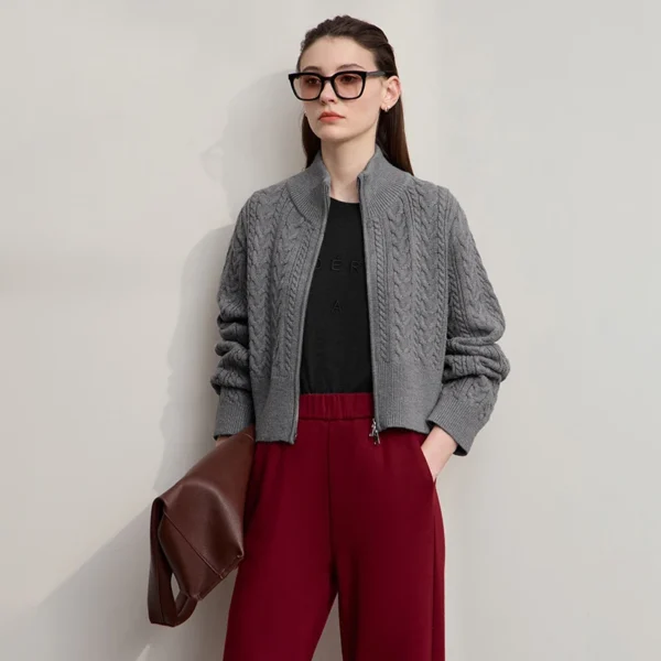 AMII Short Cardigan For Women 2025 Autumn New Minimalist High Neck Zipper Cardigans Lady Long Sleeve Slim Top Women