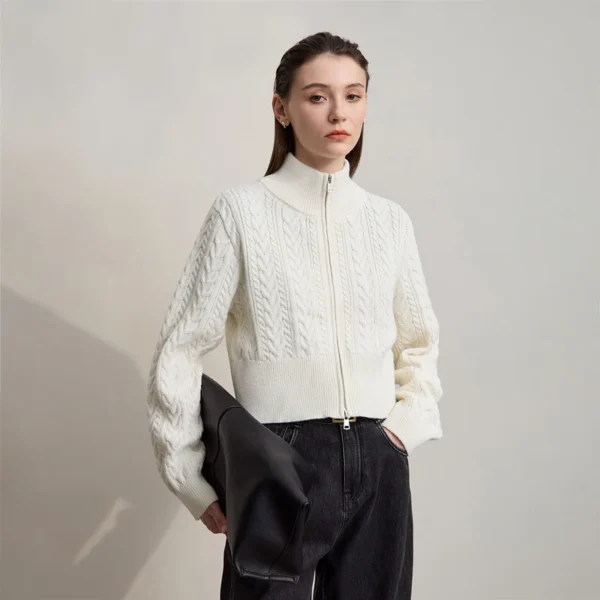 AMII Short Cardigan For Women 2025 Autumn New Minimalist High Neck Zipper Cardigans Lady Long Sleeve Slim Top Women